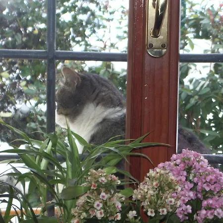 Couette-café La Pilastrina Maranello