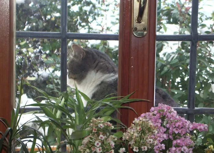 Bed and Breakfast La Pilastrina Μαρανέλλο